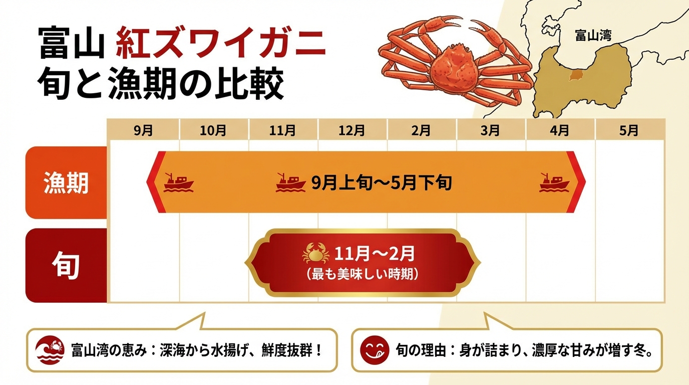 インフォグラフィック2