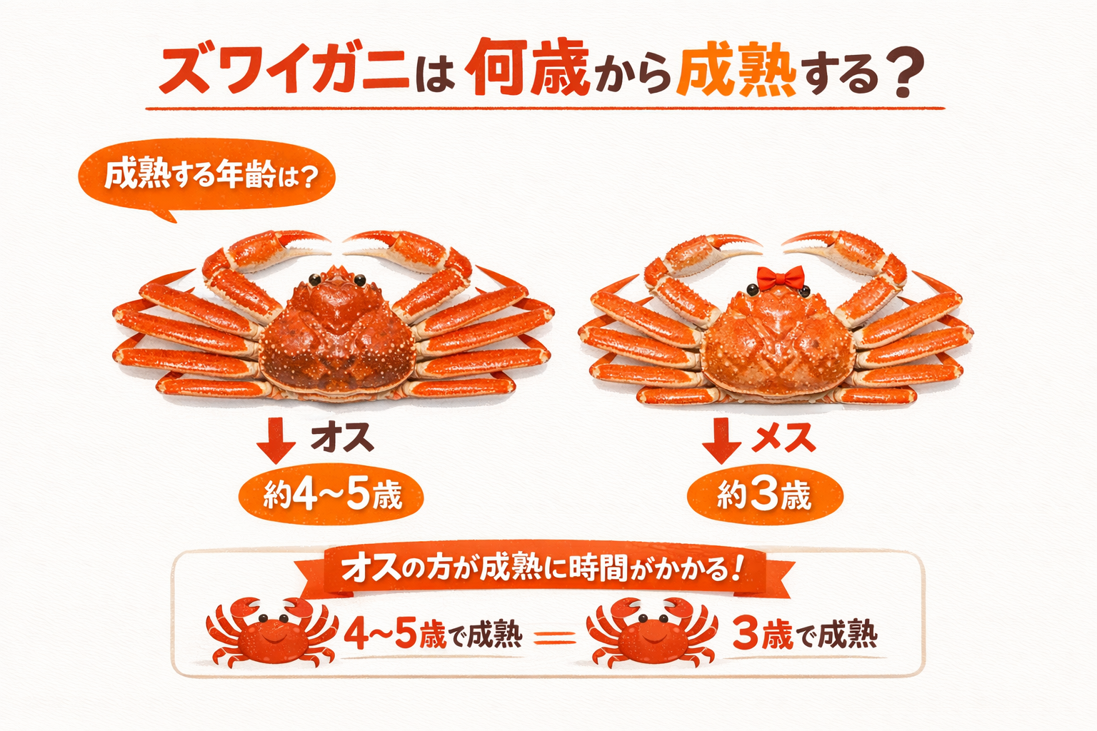 インフォグラフィック1