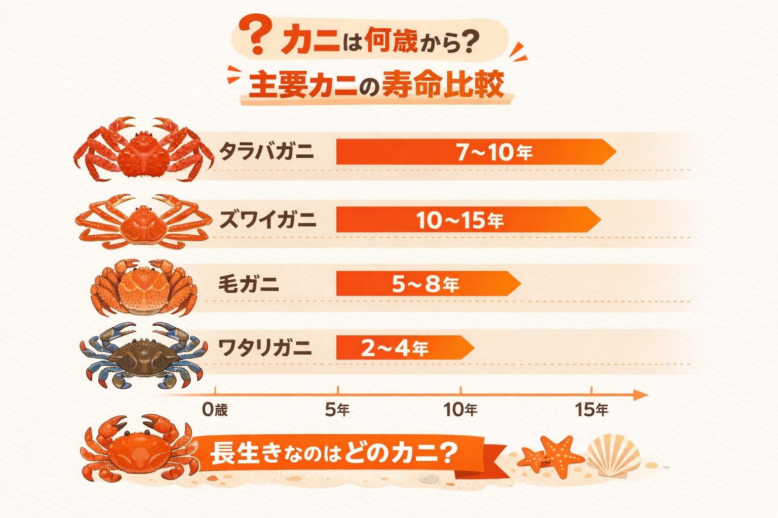 インフォグラフィック2