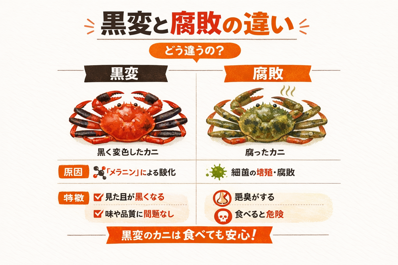 インフォグラフィック1