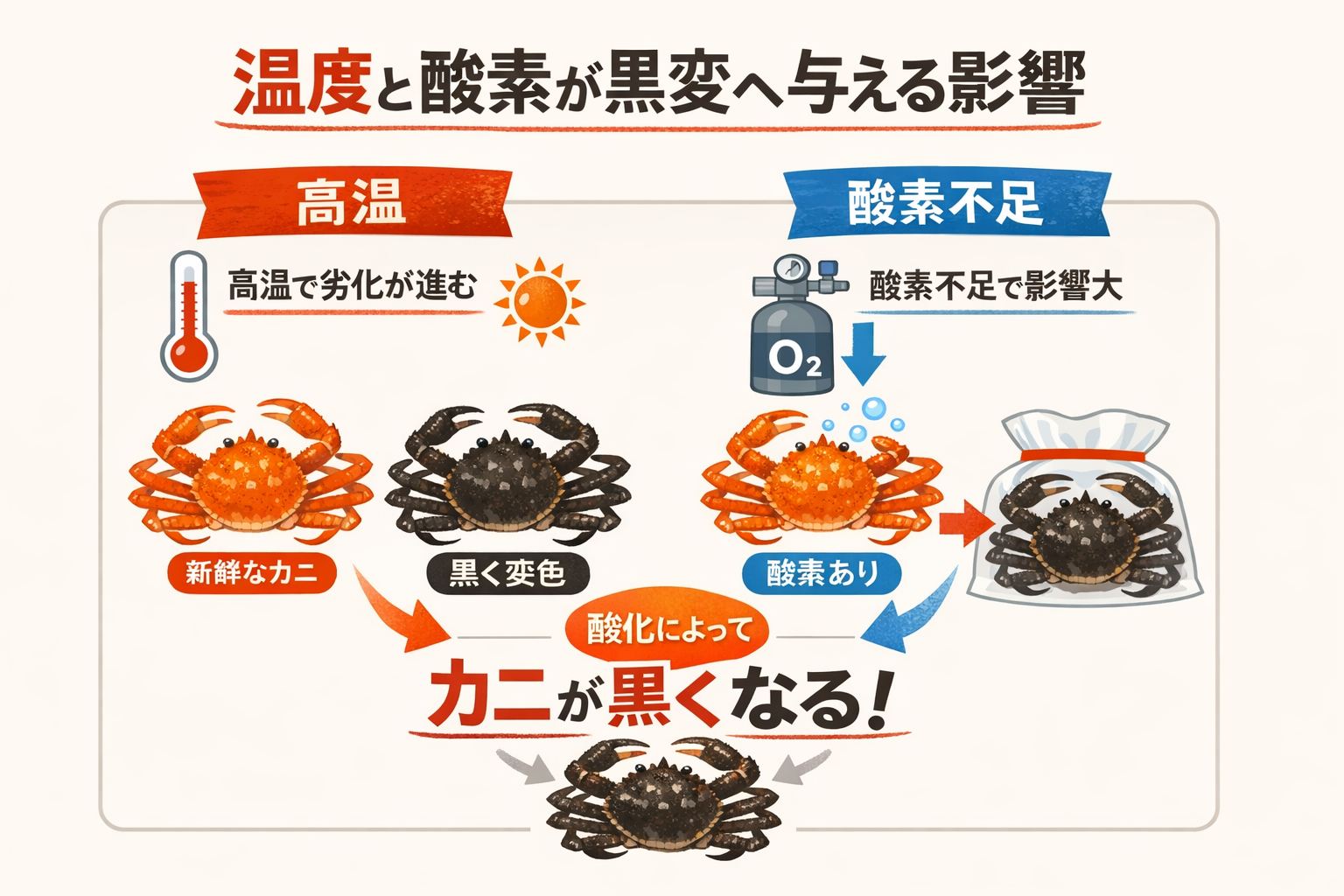 インフォグラフィック3