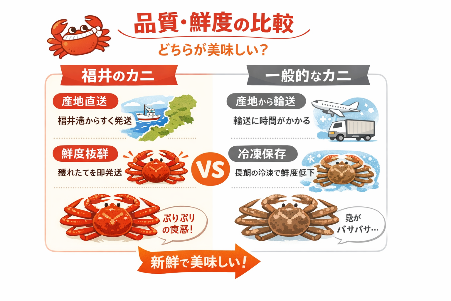 インフォグラフィック1