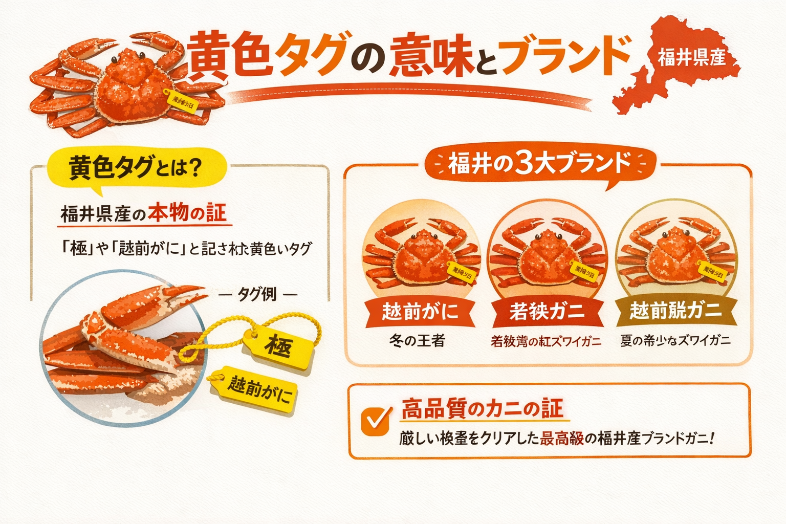 インフォグラフィック2