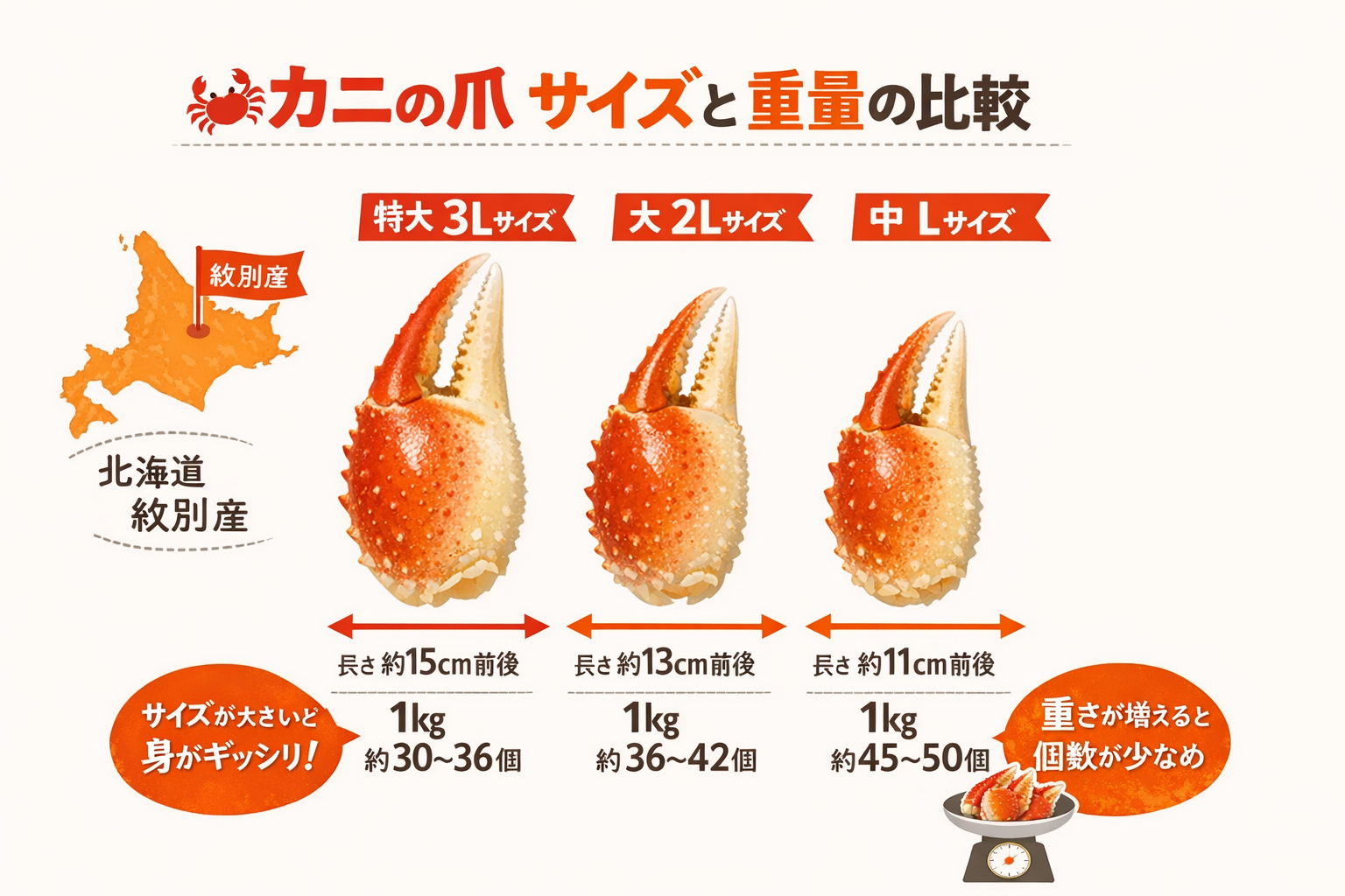 インフォグラフィック1