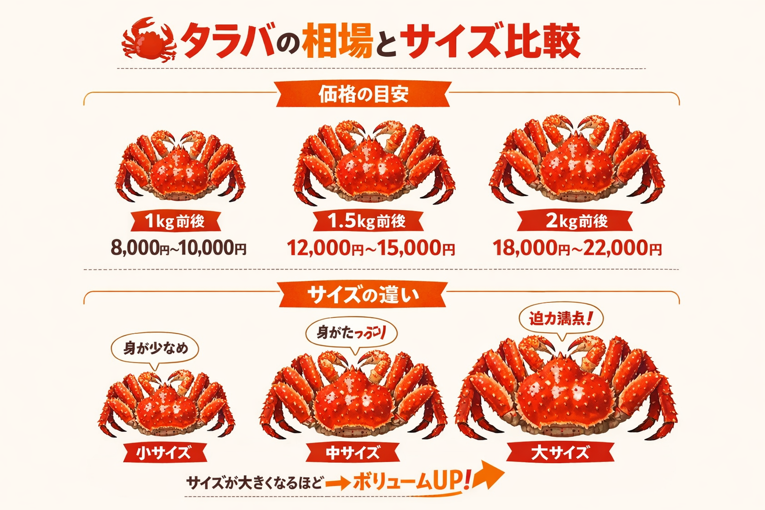 インフォグラフィック2