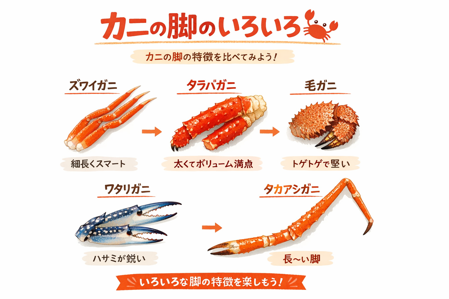 インフォグラフィック3