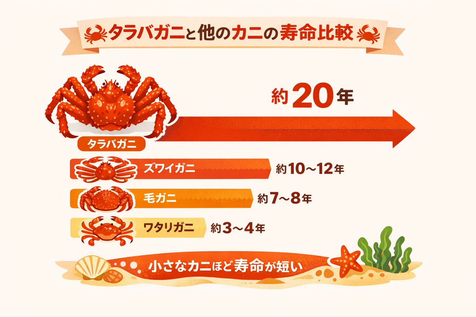 インフォグラフィック3