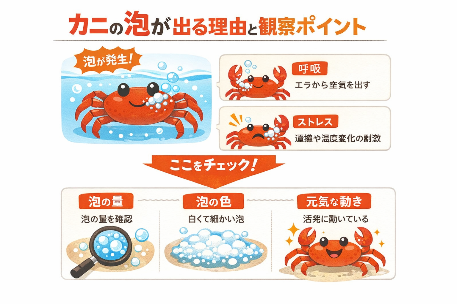 インフォグラフィック1