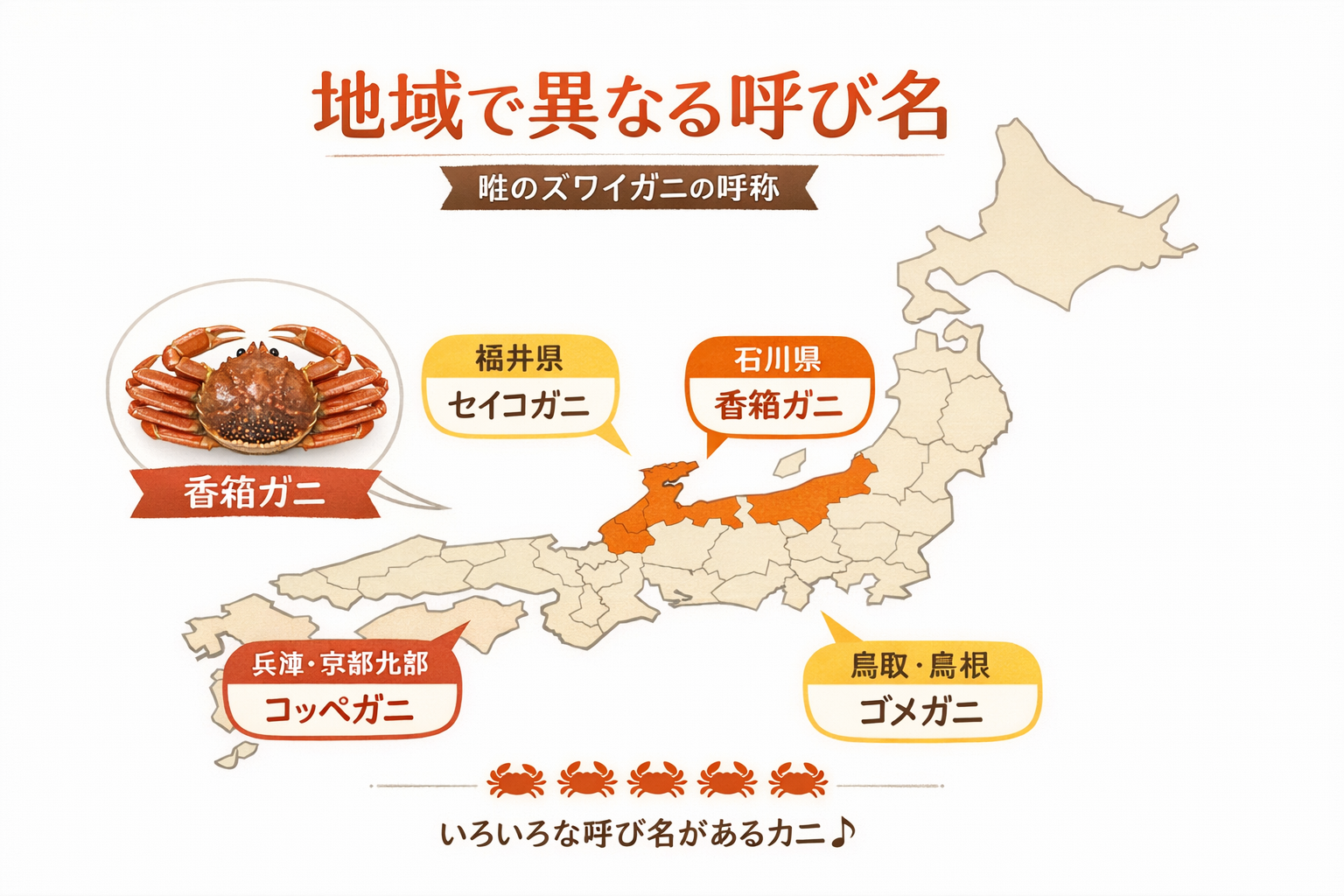 インフォグラフィック2