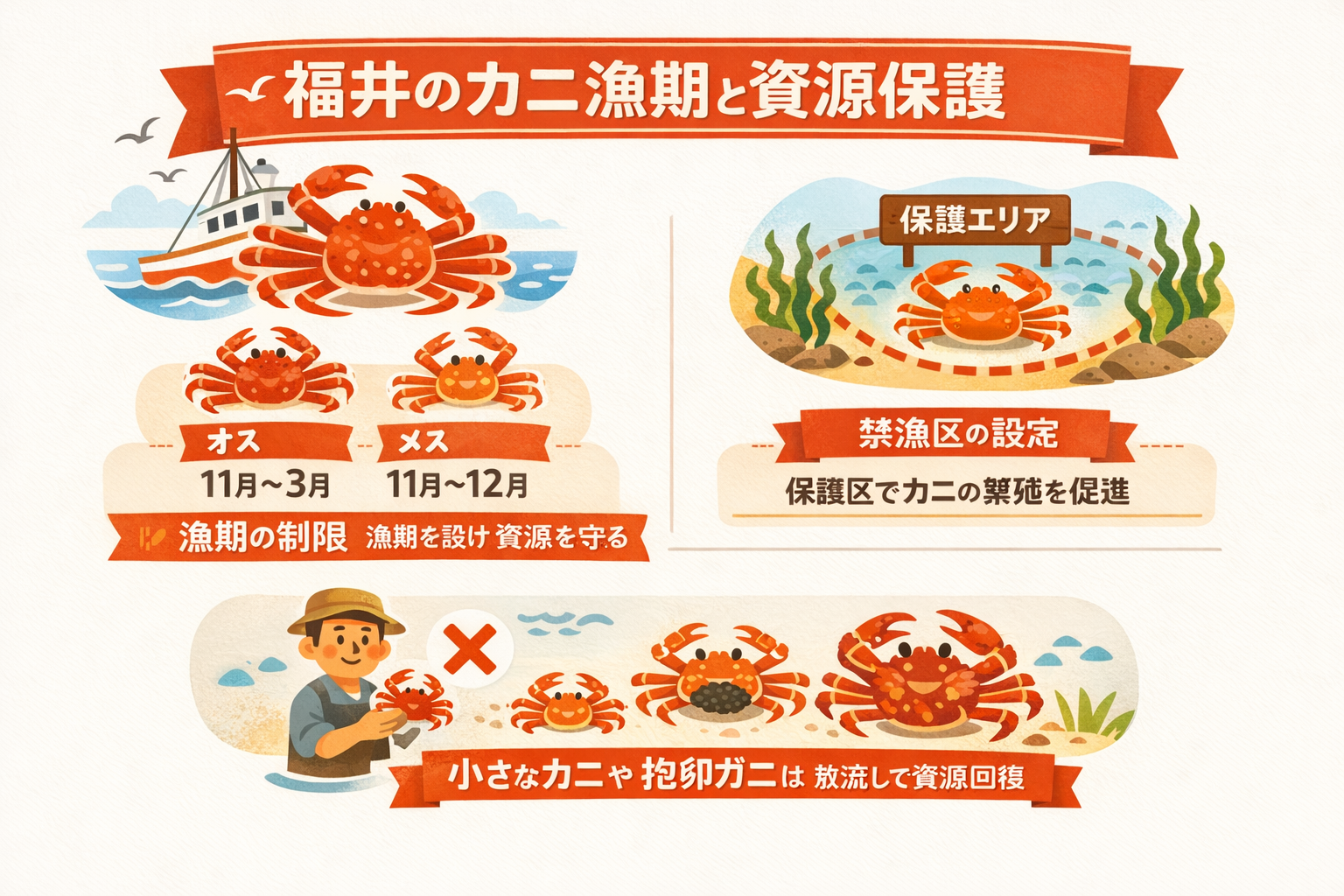 インフォグラフィック2