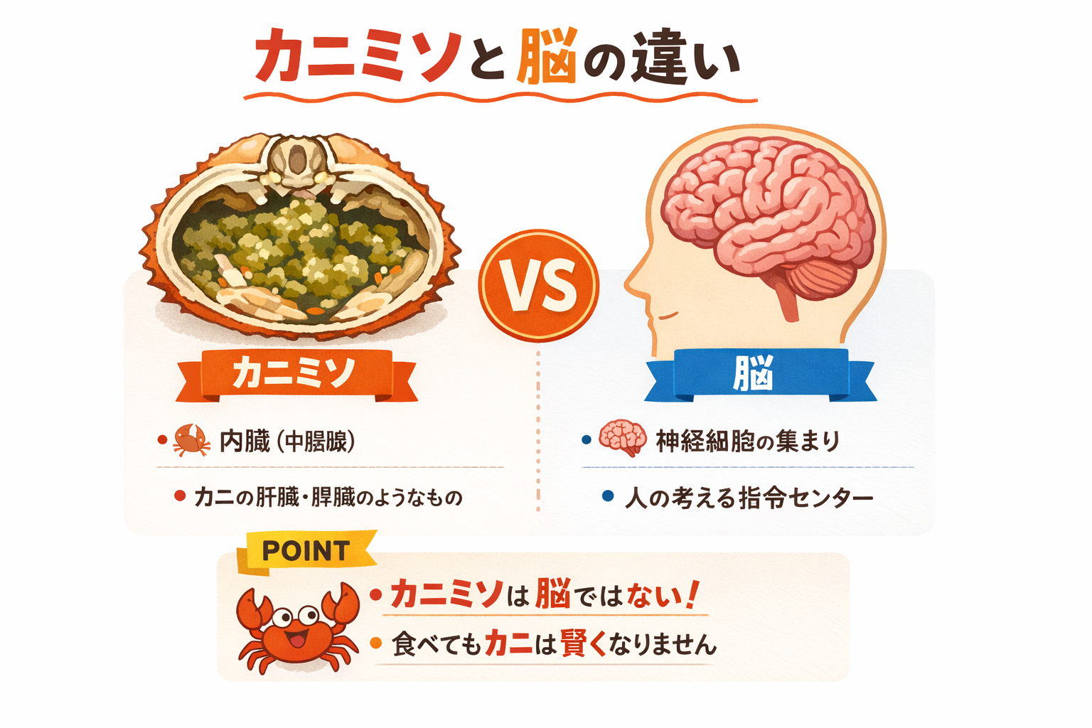 インフォグラフィック1