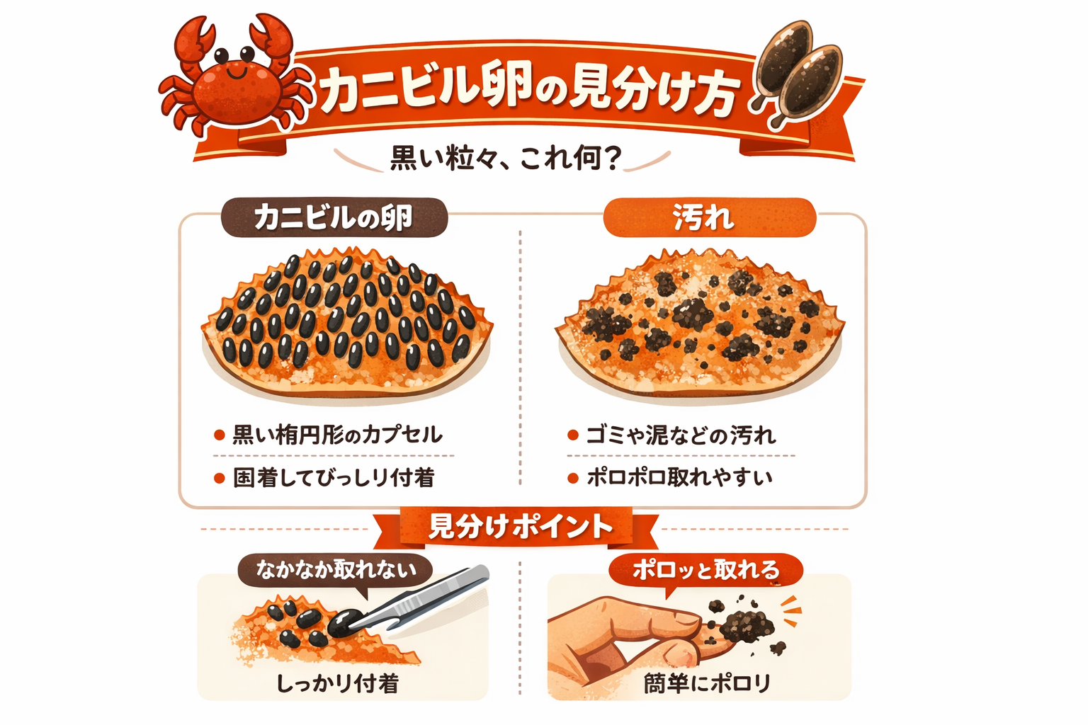 インフォグラフィック2