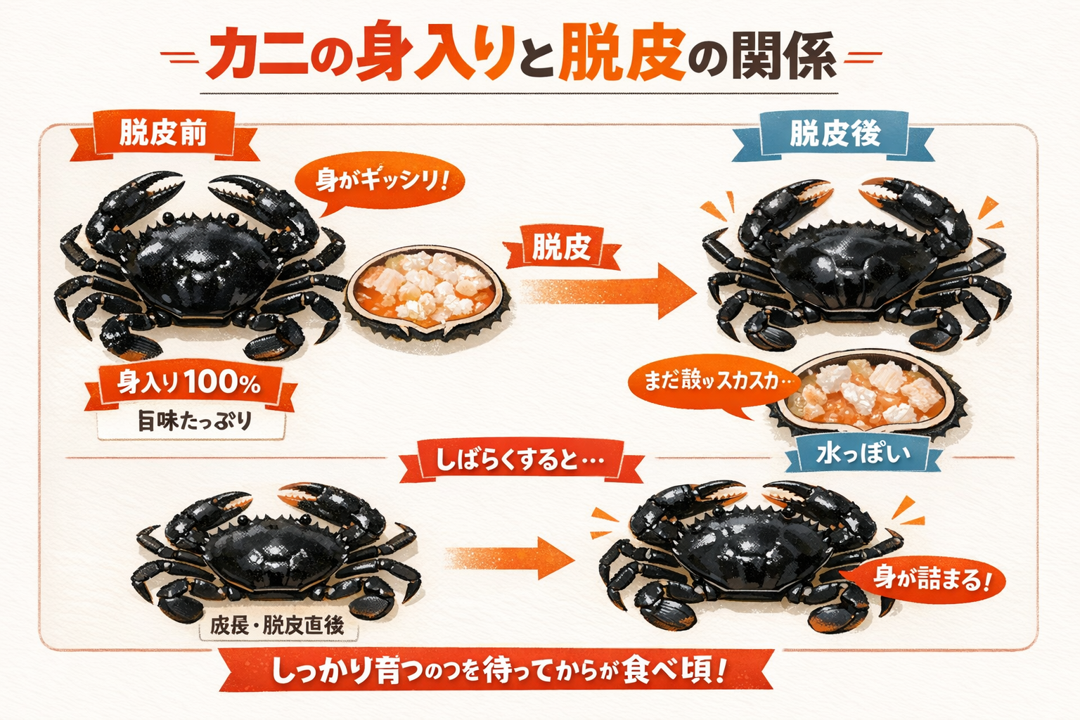 インフォグラフィック3