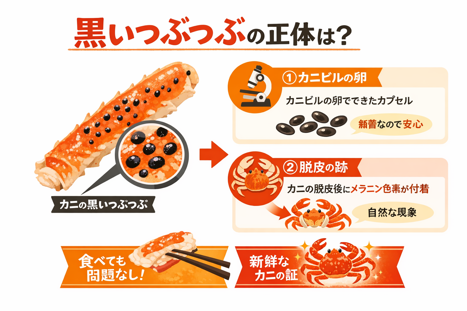 インフォグラフィック2