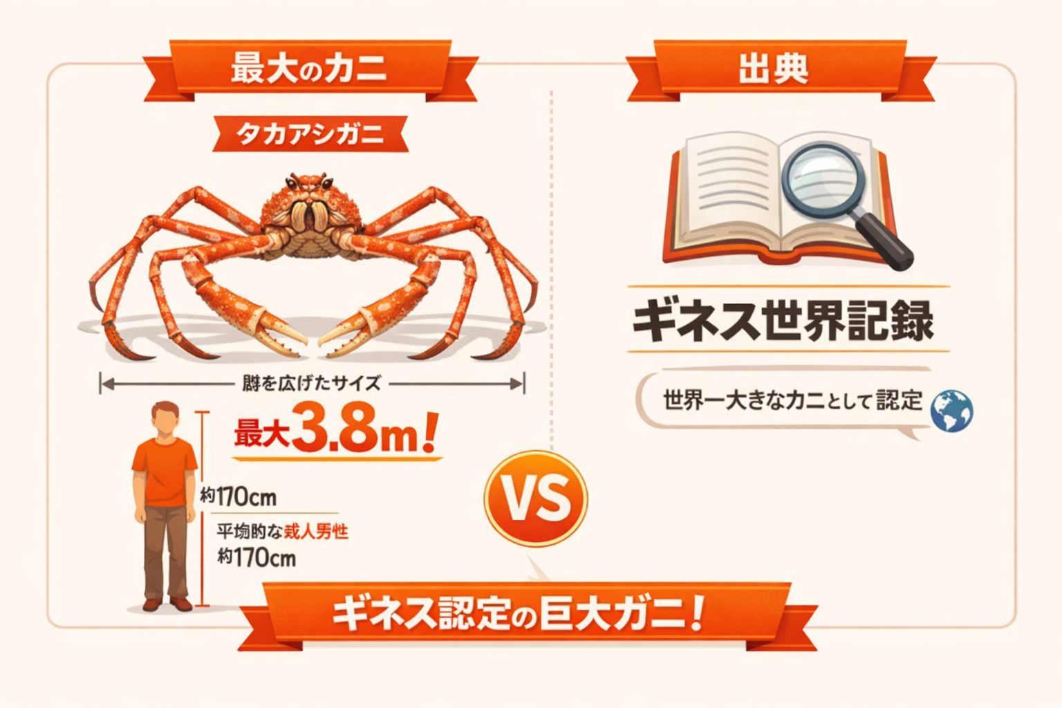 インフォグラフィック2