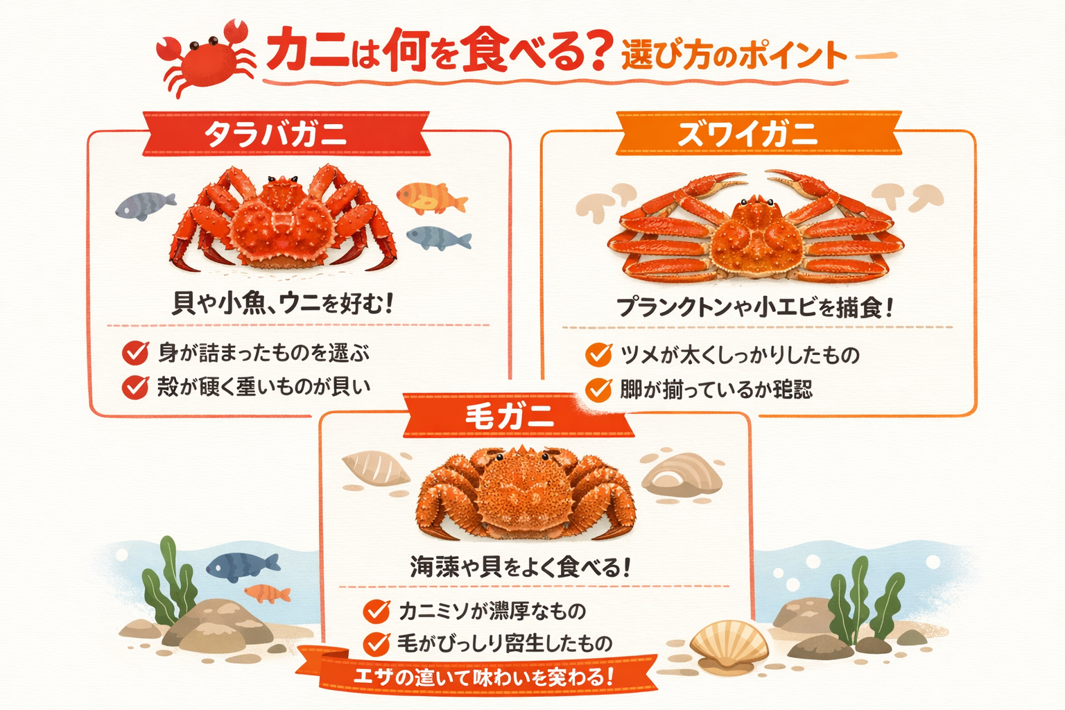 インフォグラフィック2