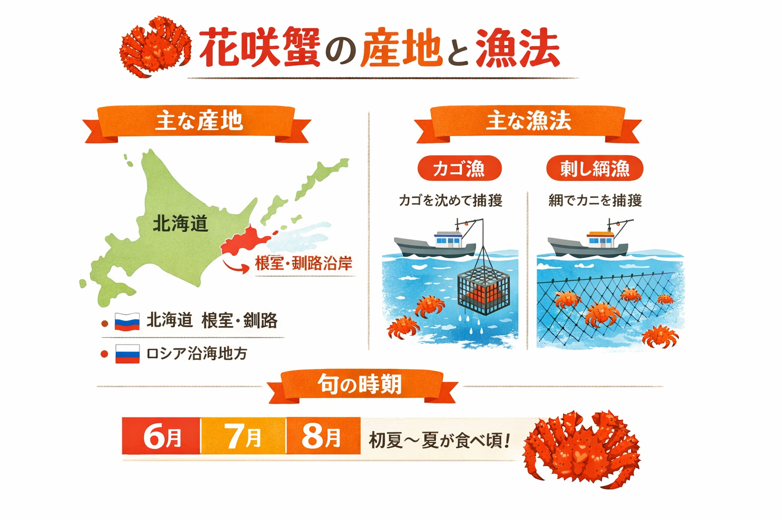 インフォグラフィック2