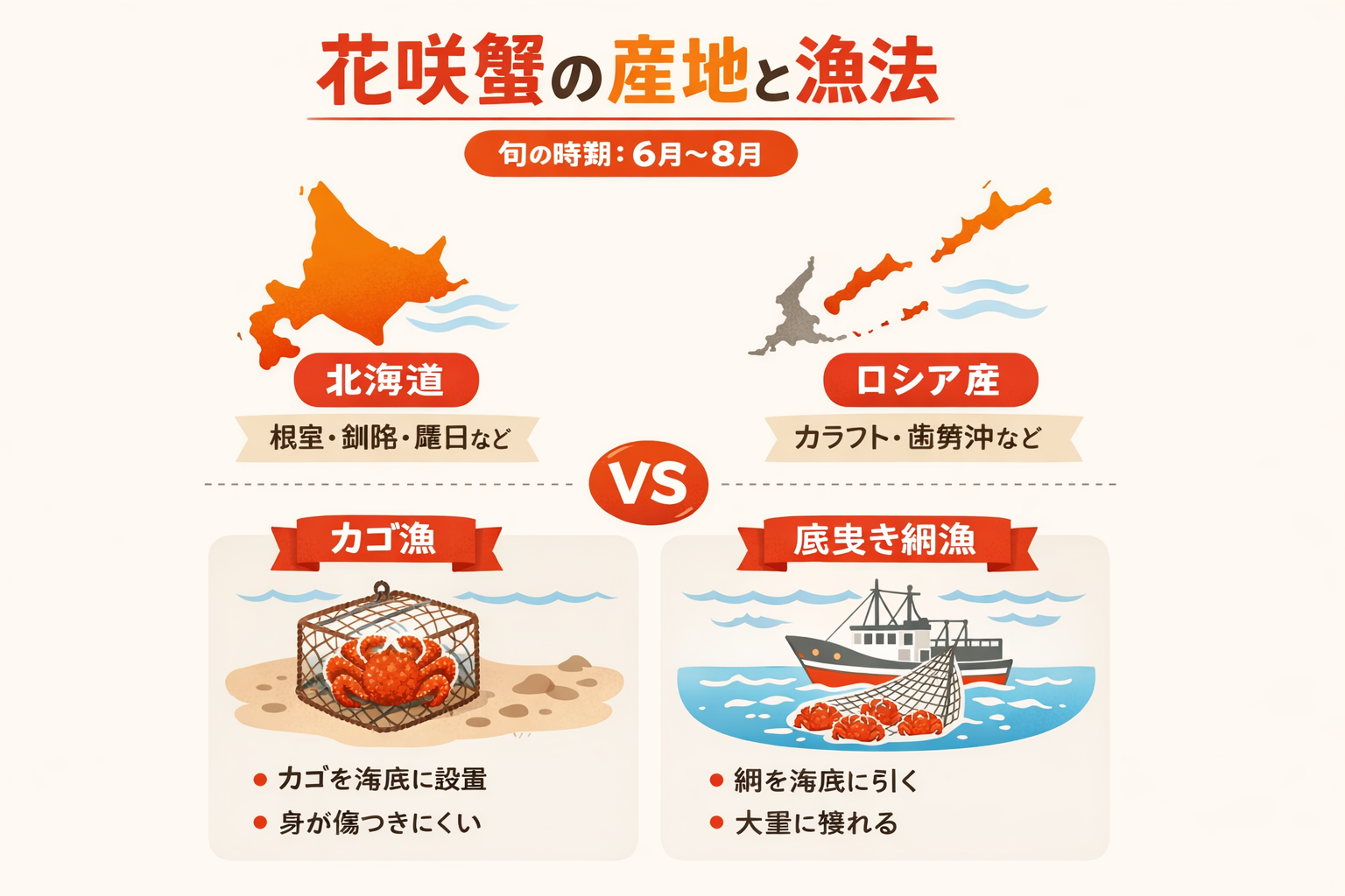 インフォグラフィック2