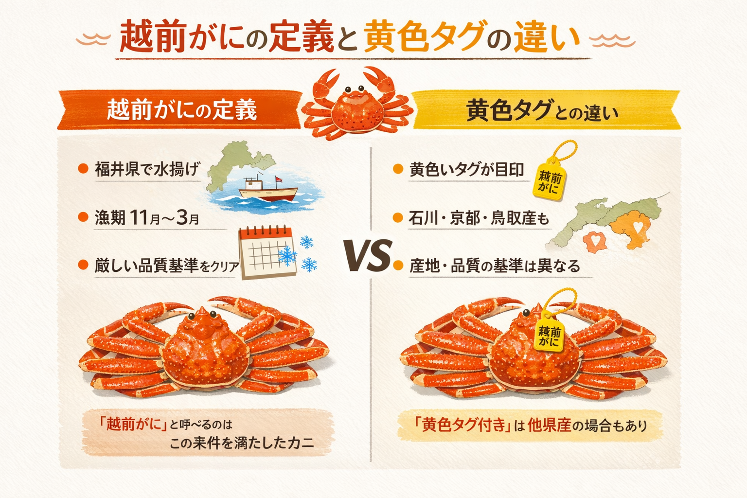 インフォグラフィック1