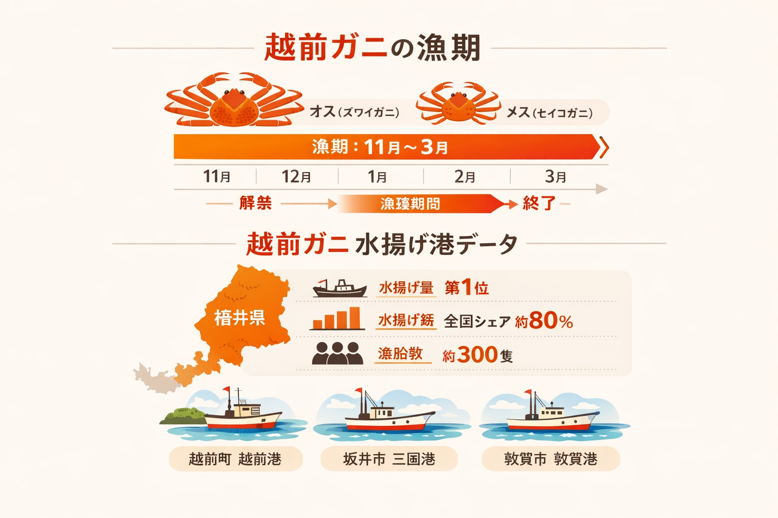 インフォグラフィック2