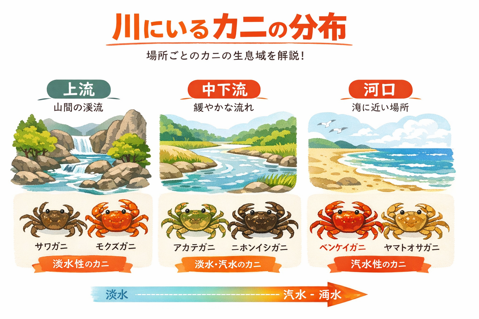 インフォグラフィック1