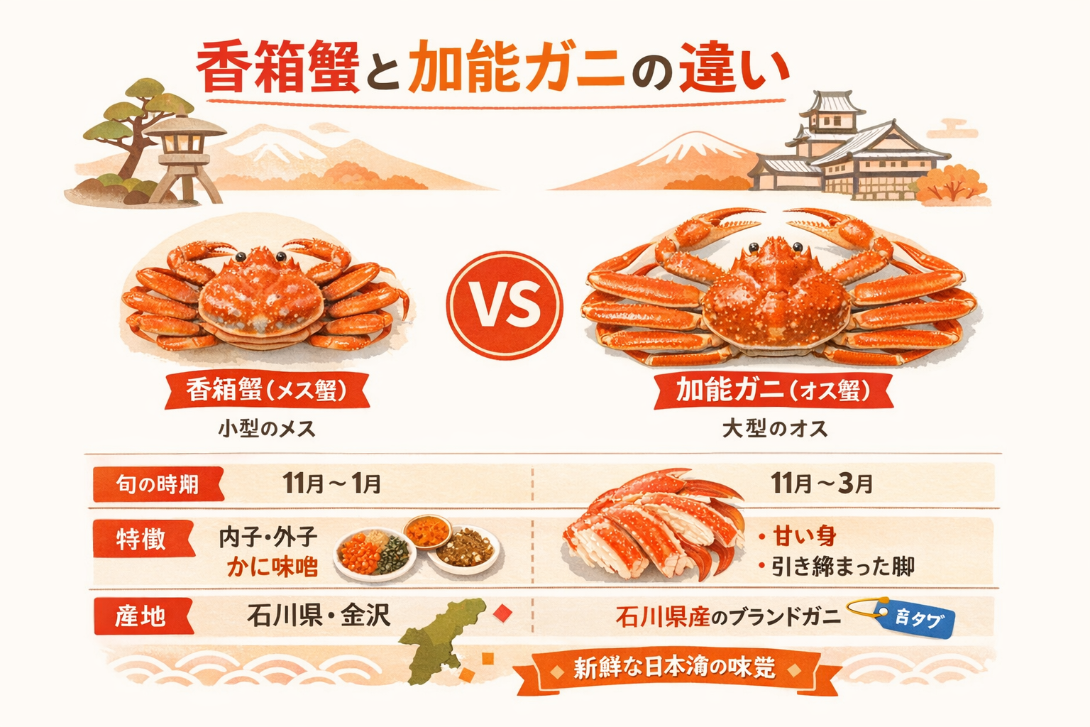 インフォグラフィック1