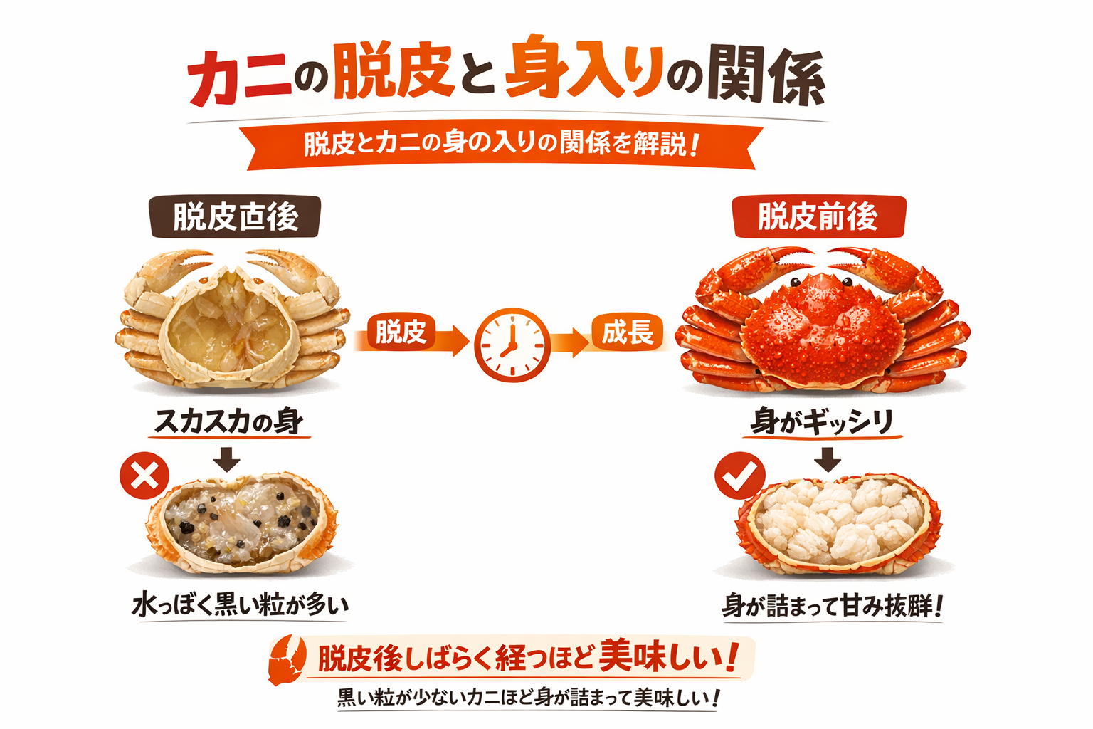 インフォグラフィック3