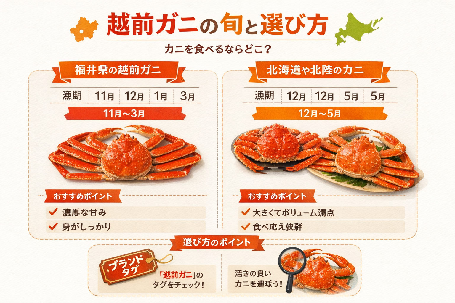 インフォグラフィック1