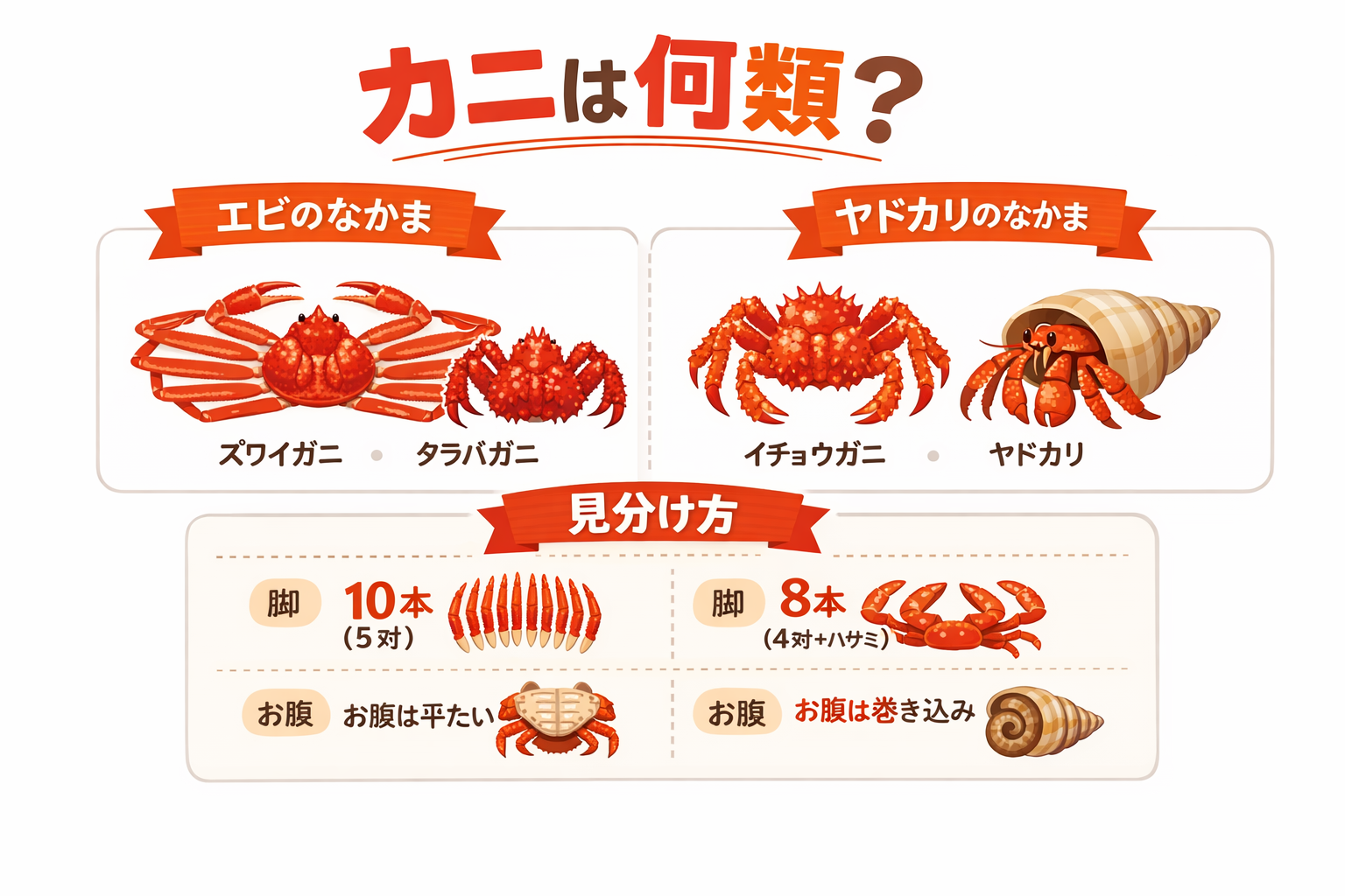 インフォグラフィック1