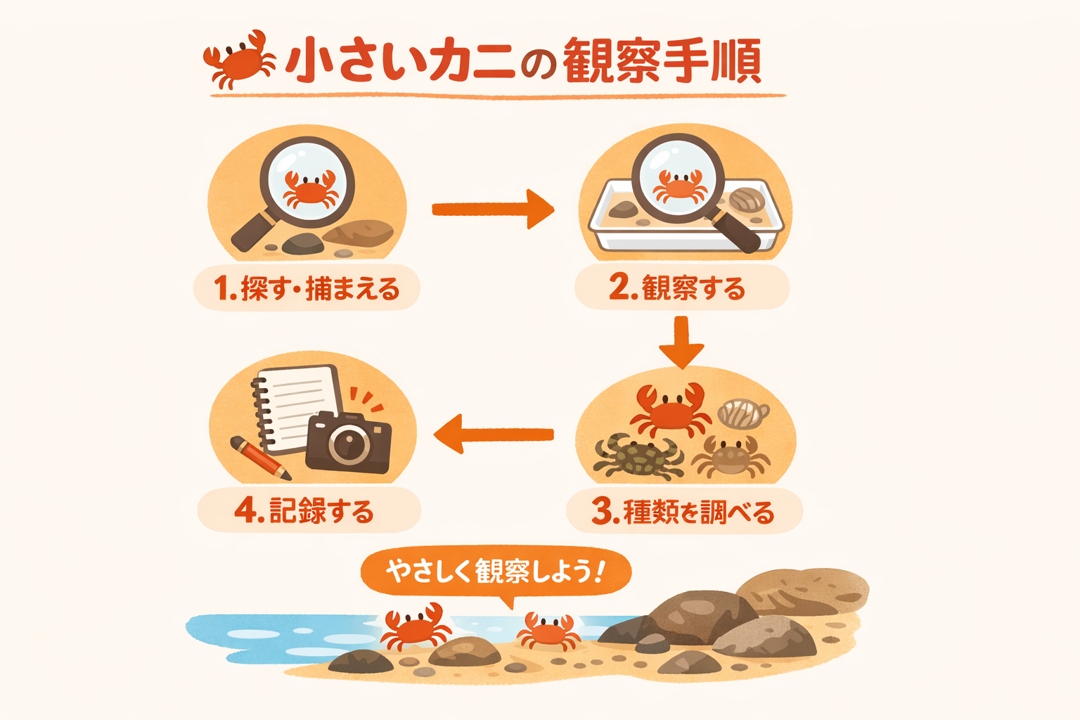 インフォグラフィック3