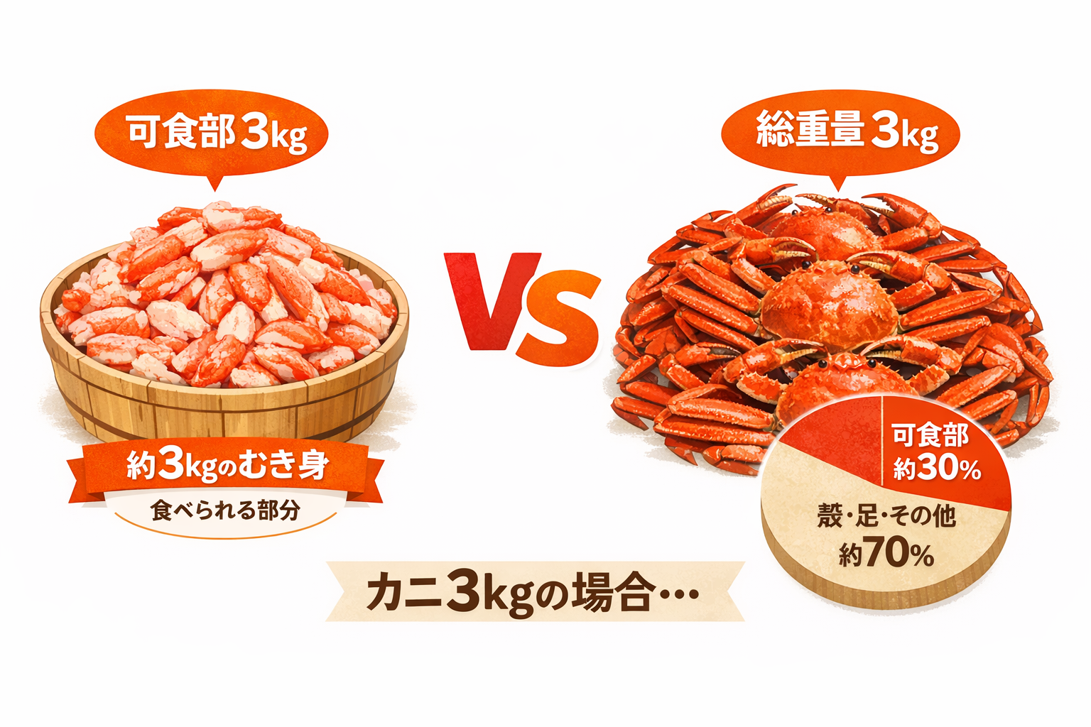 インフォグラフィック1