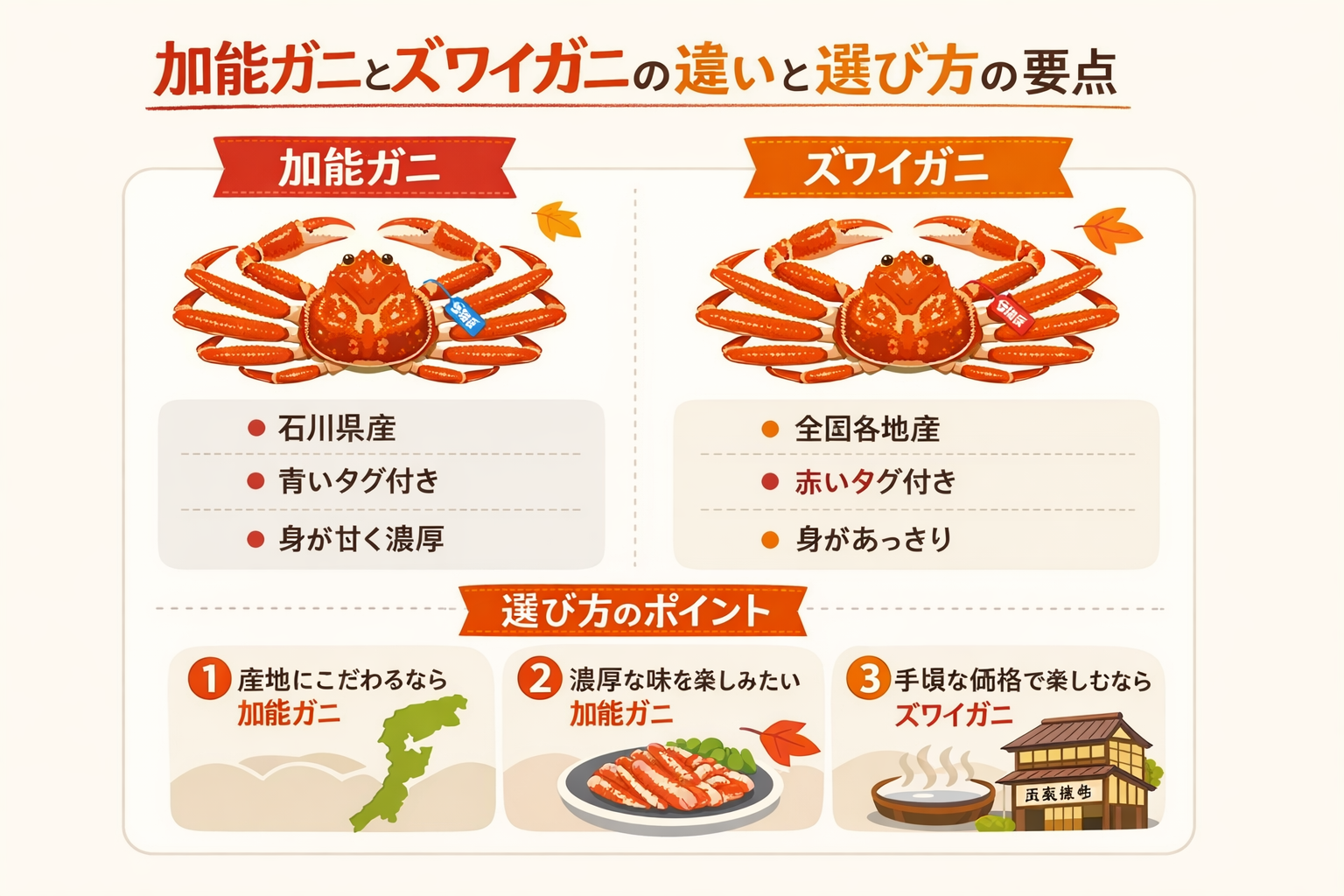 インフォグラフィック1