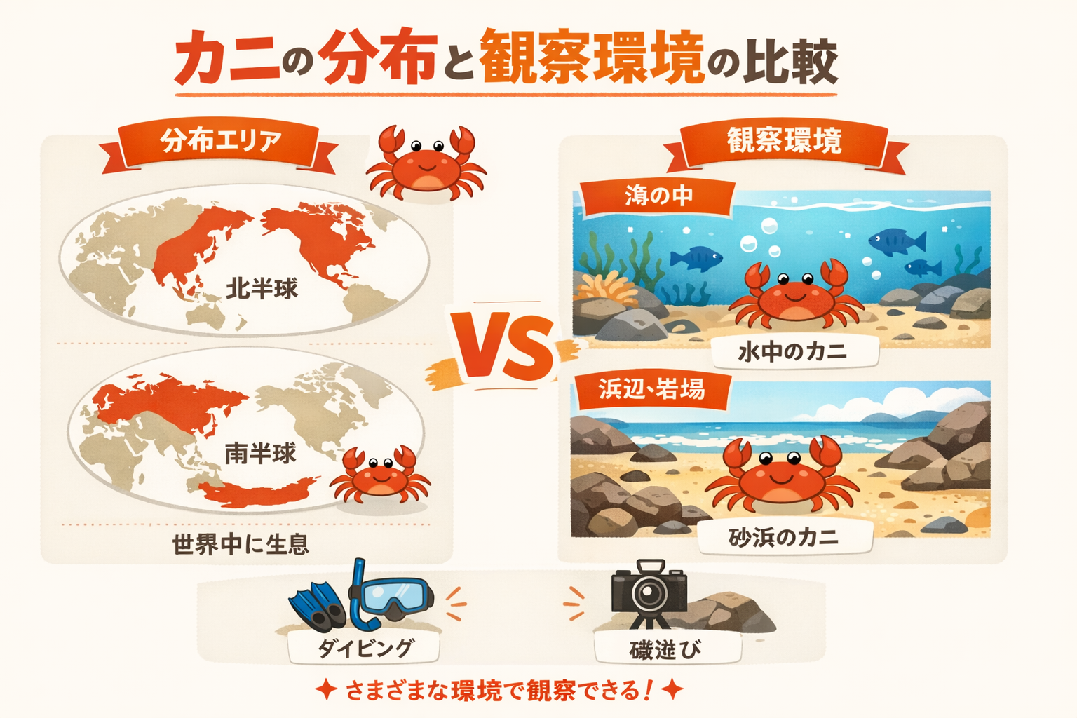 インフォグラフィック2