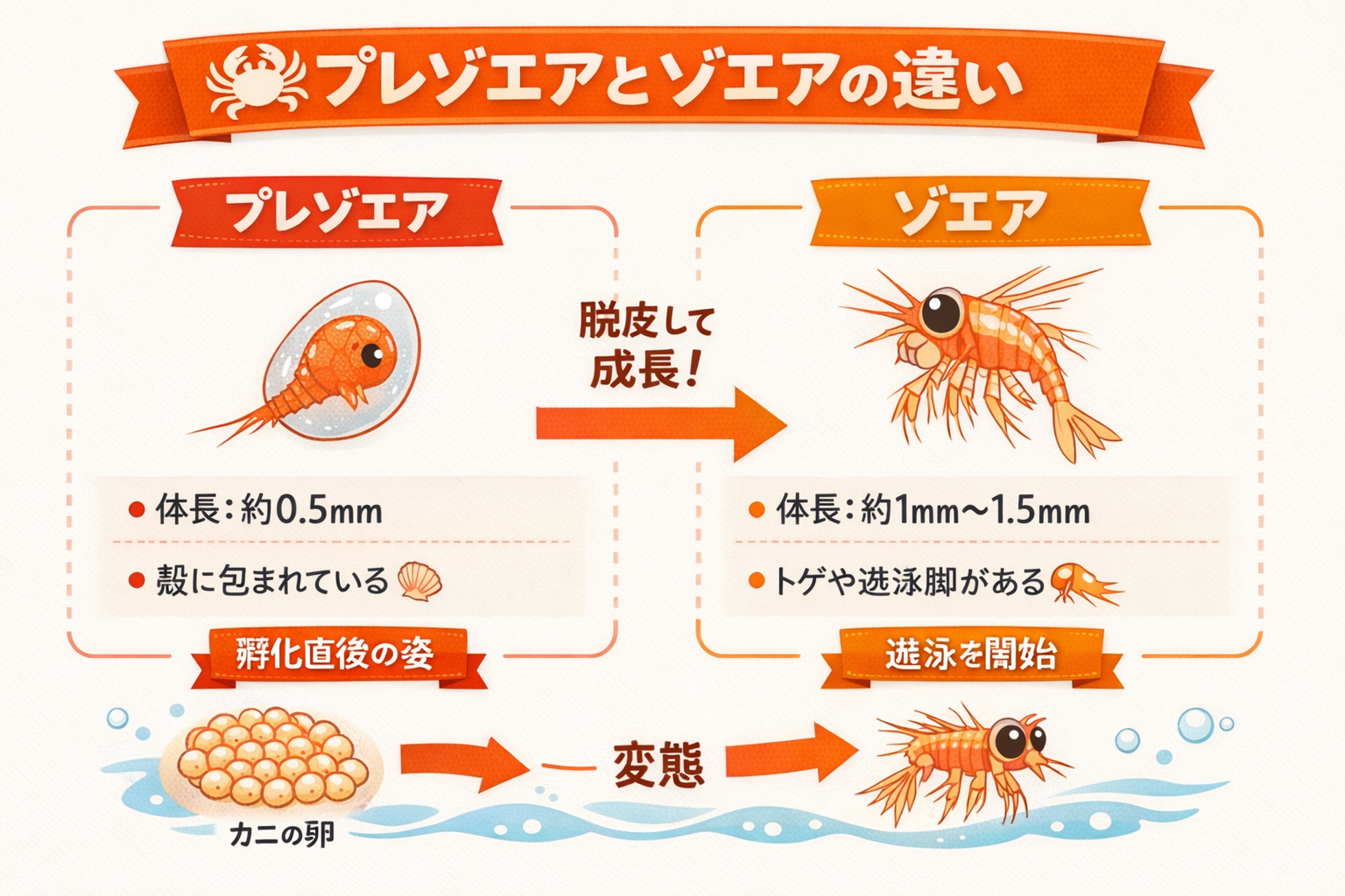 インフォグラフィック1