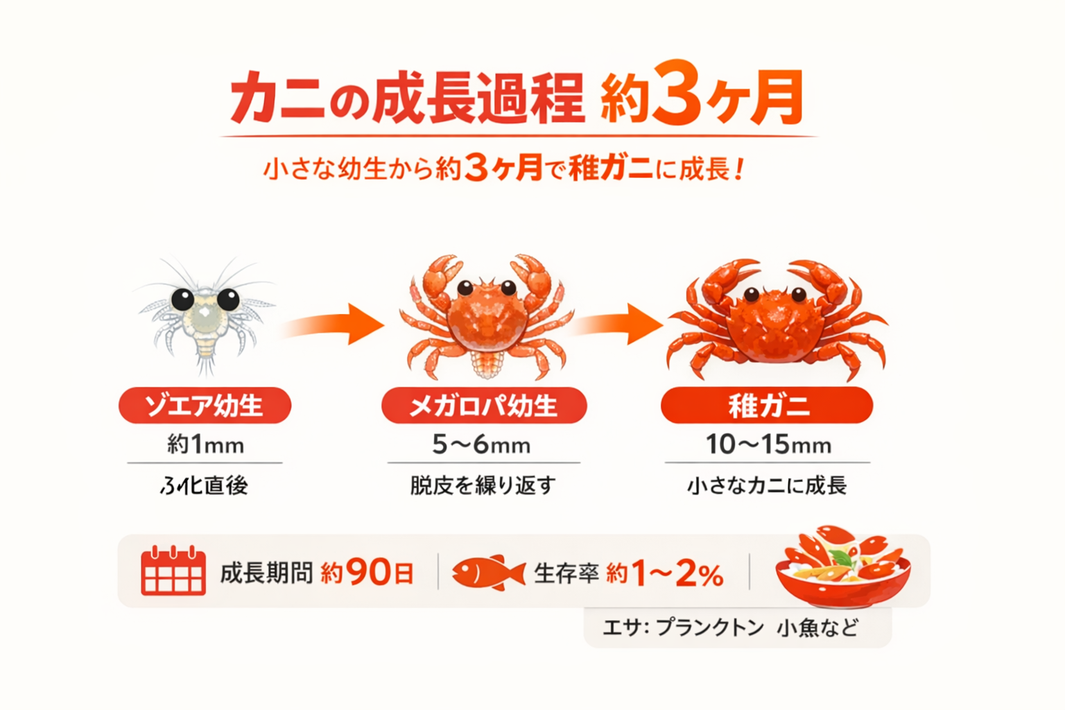 インフォグラフィック2