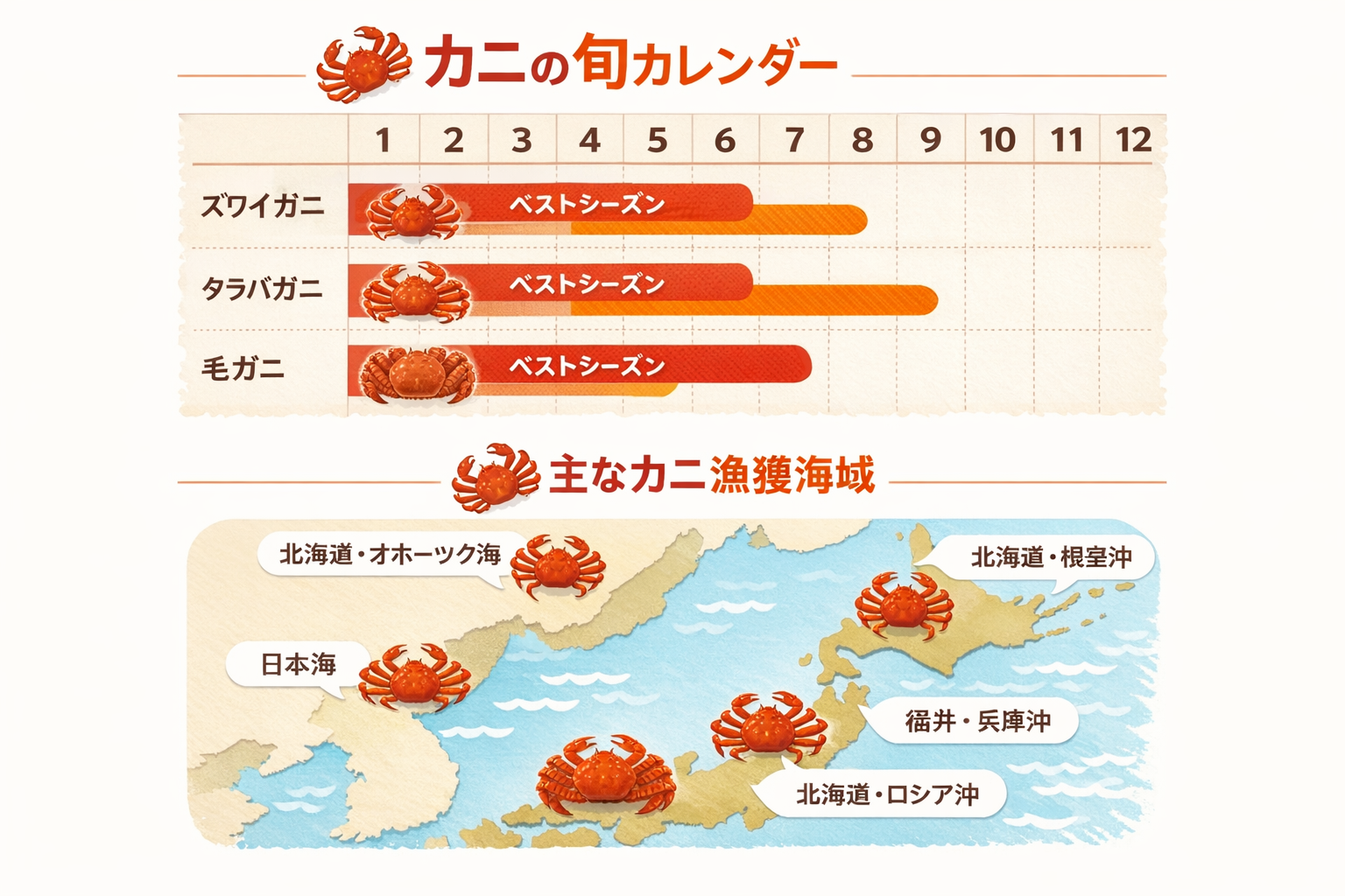 インフォグラフィック2