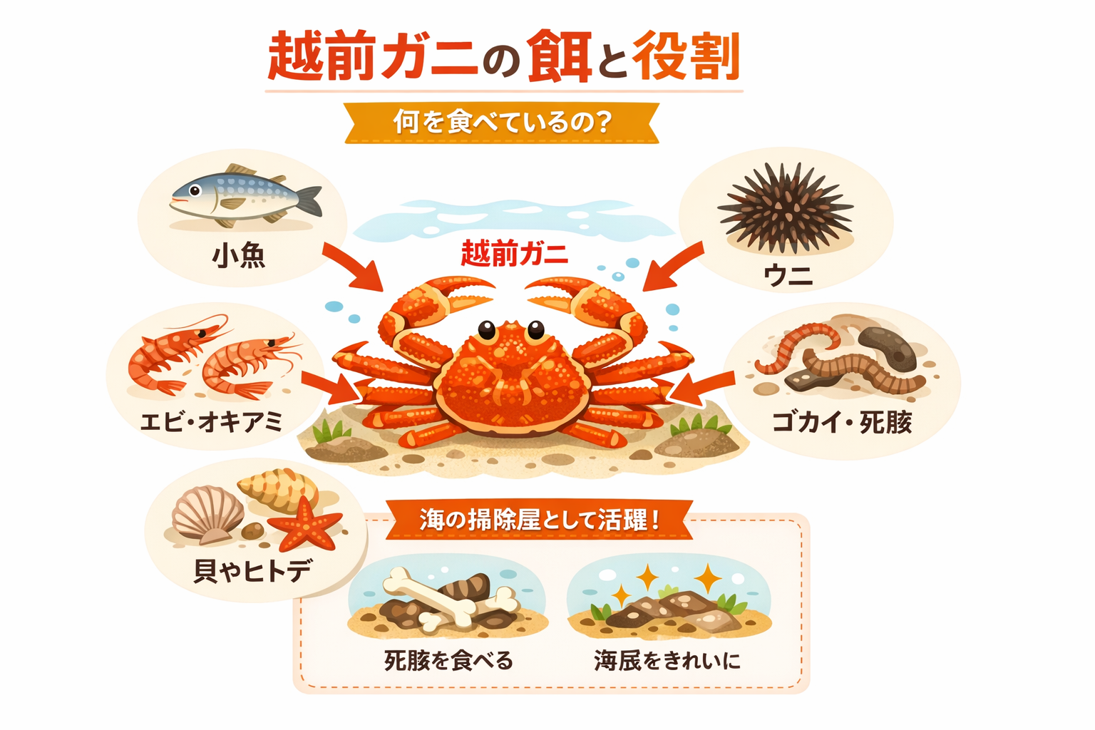 インフォグラフィック3