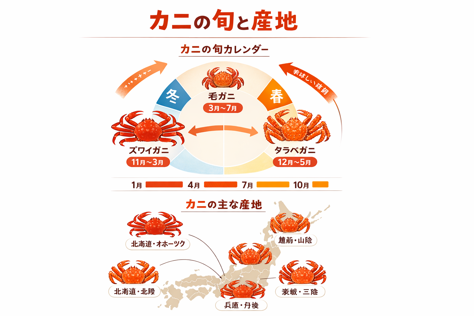 インフォグラフィック2