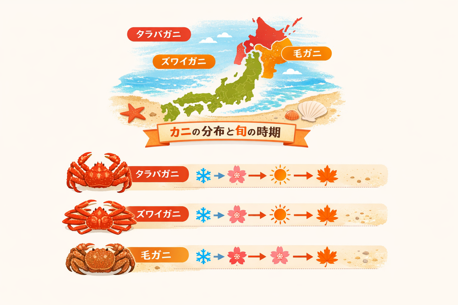 インフォグラフィック2