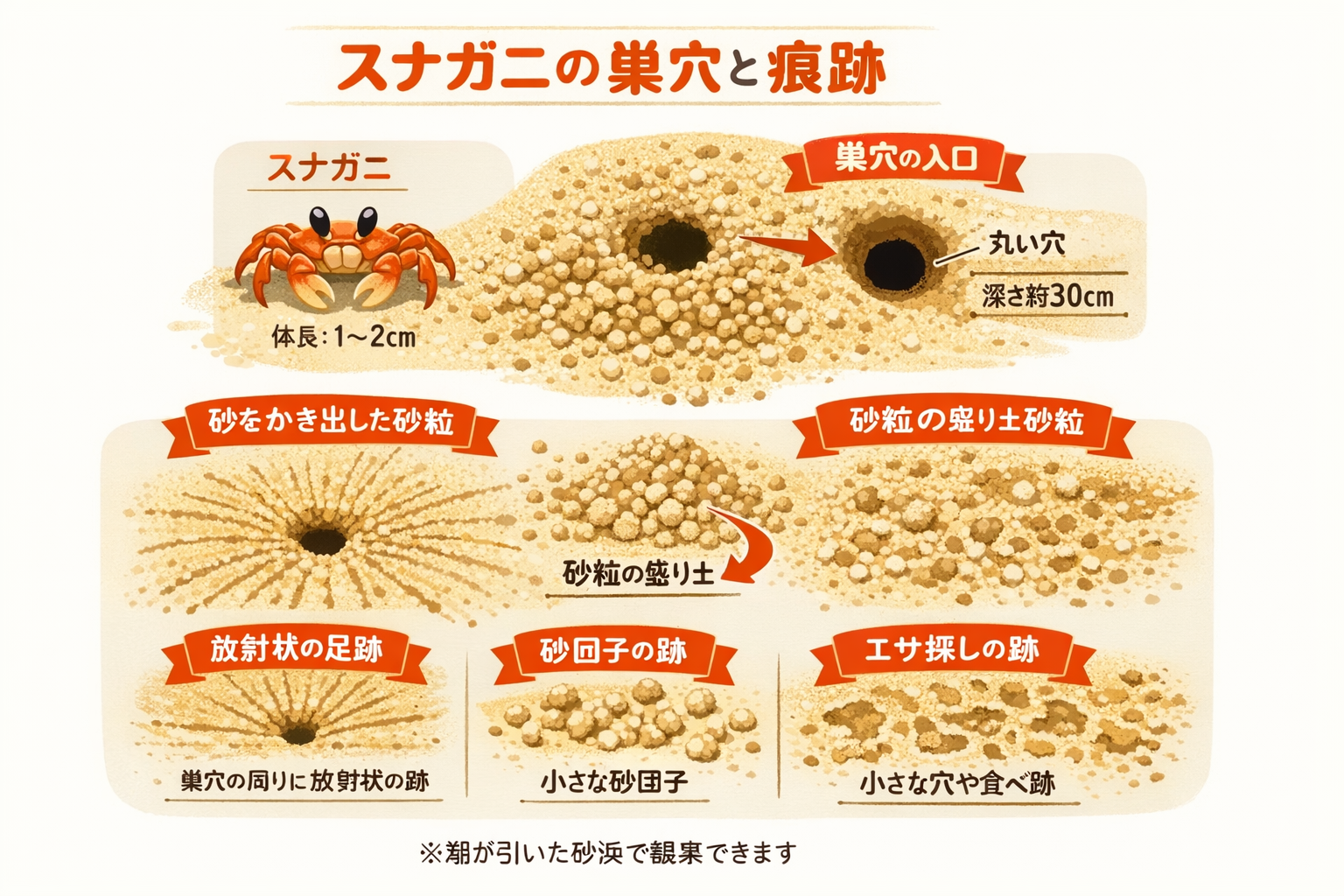 インフォグラフィック3