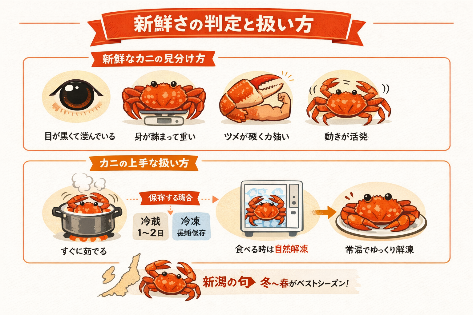 インフォグラフィック3