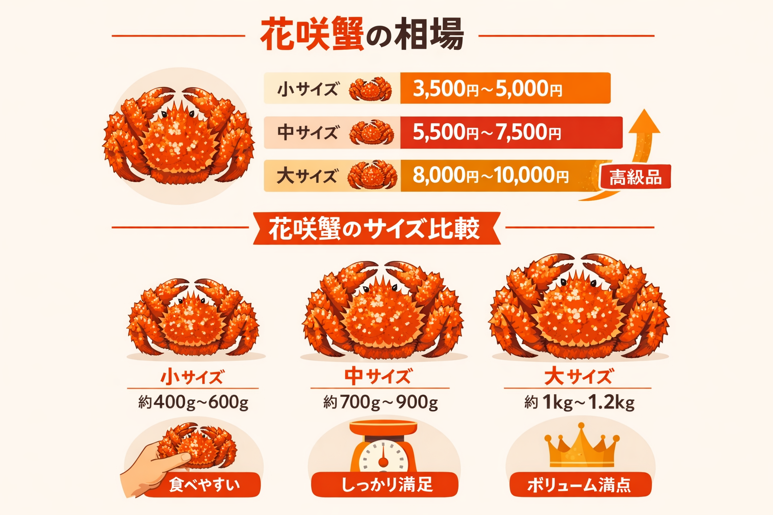 インフォグラフィック1