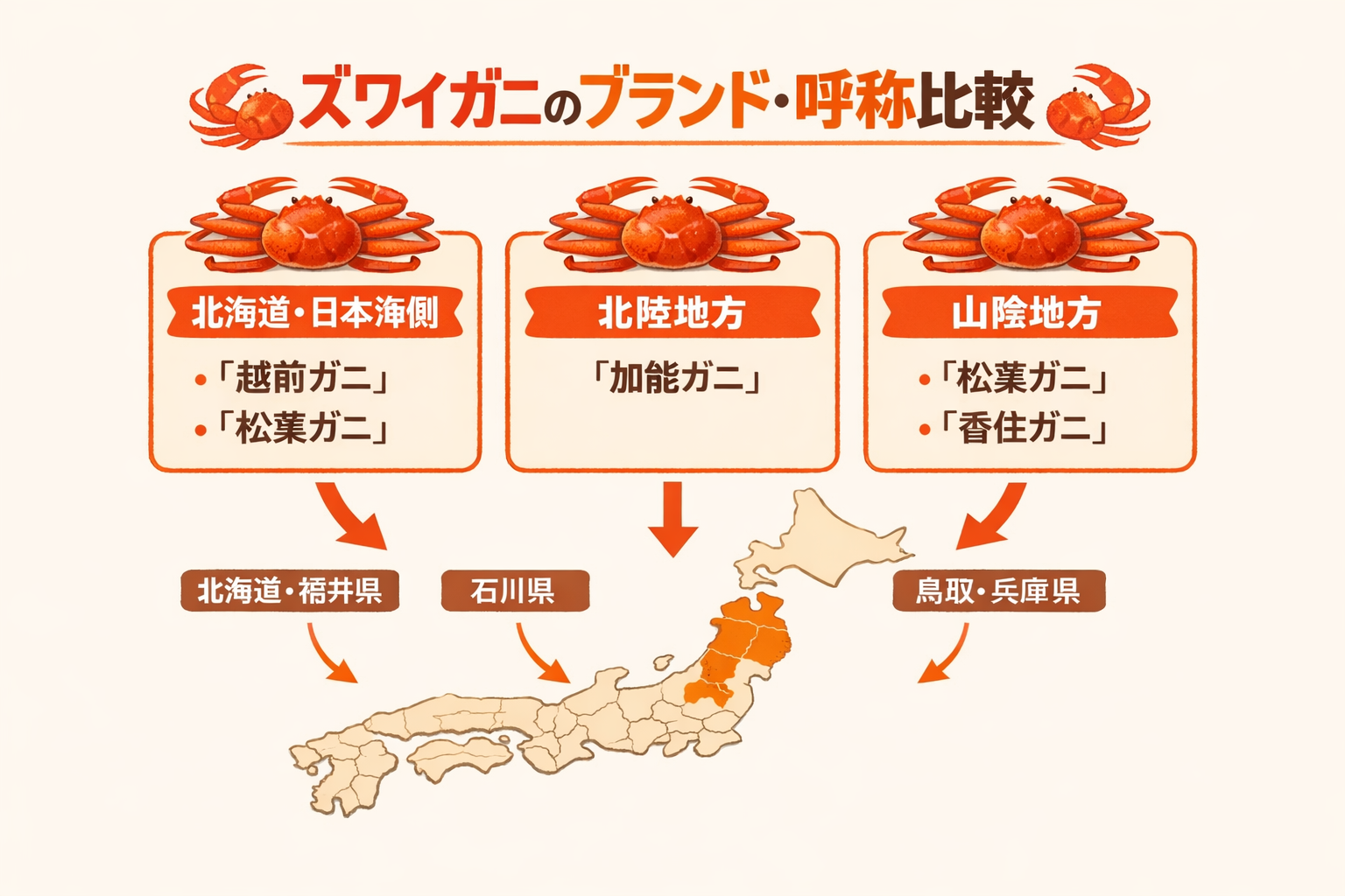 インフォグラフィック2