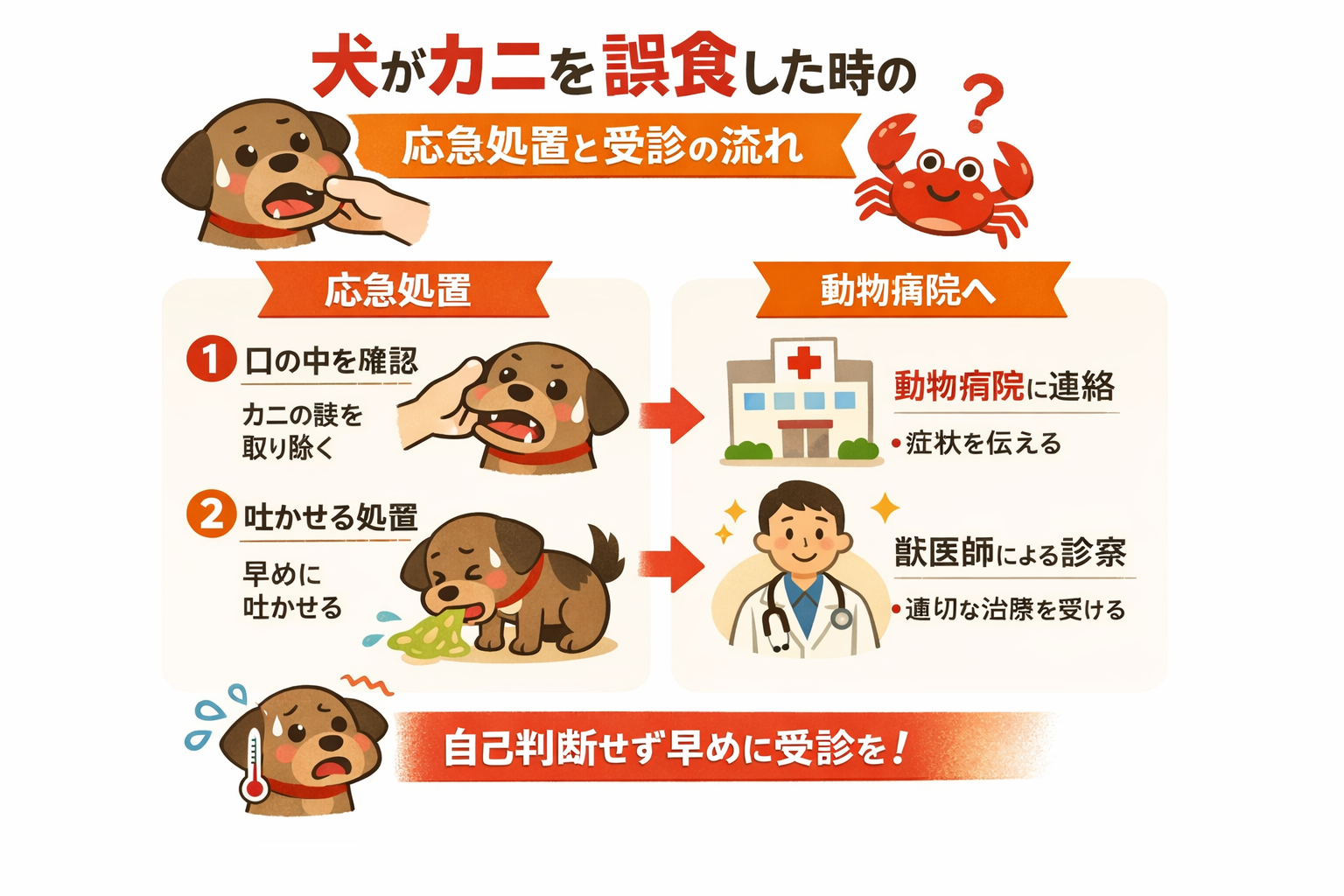 インフォグラフィック3