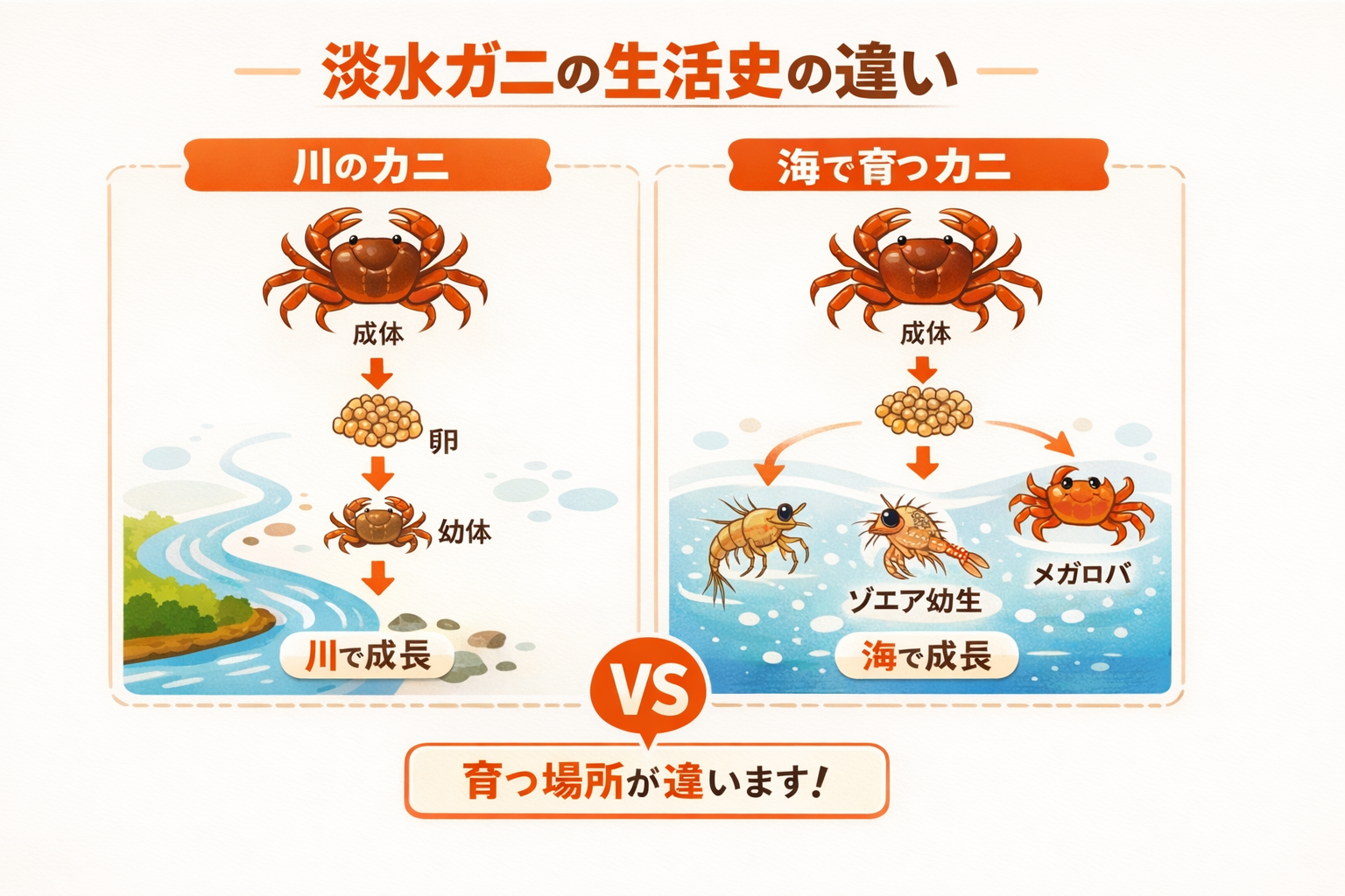 インフォグラフィック3