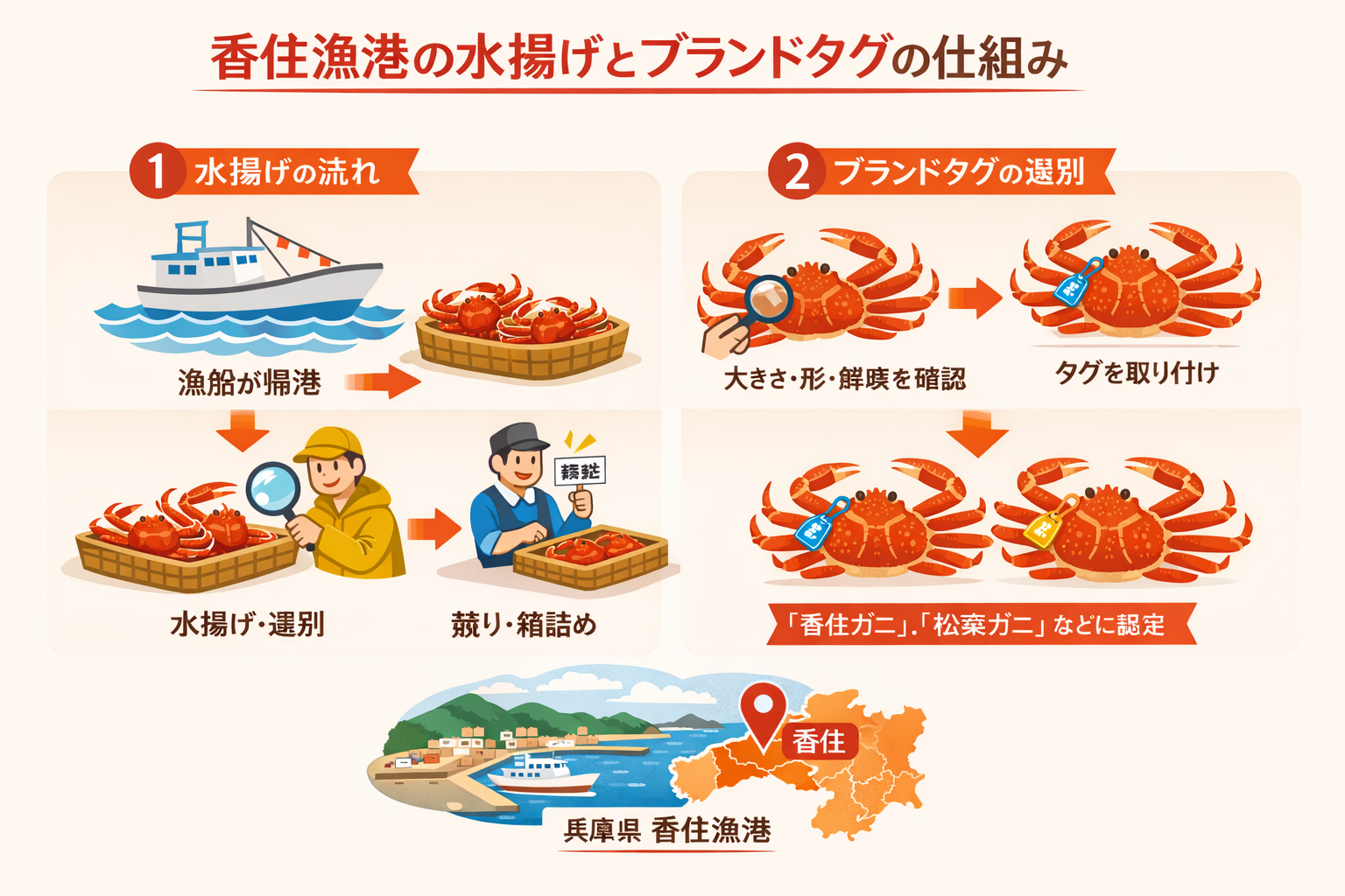 インフォグラフィック2