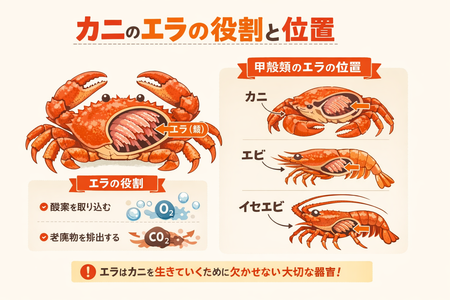 インフォグラフィック2