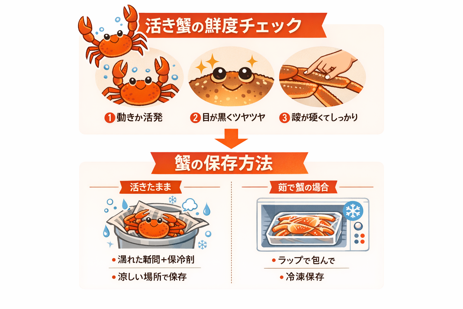 インフォグラフィック3