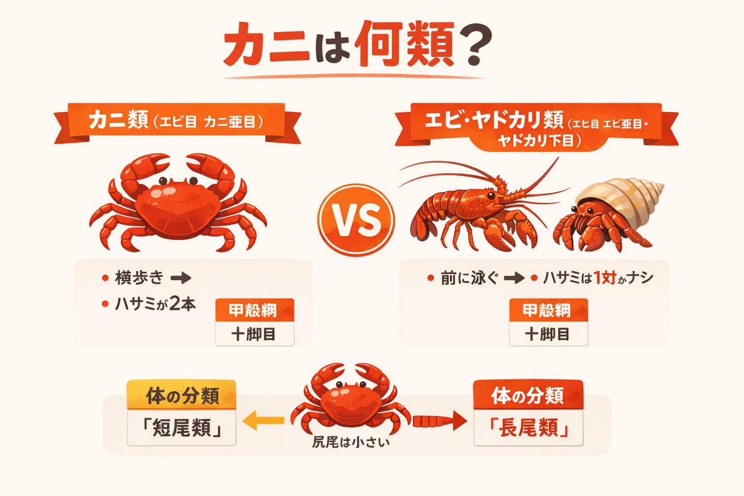 インフォグラフィック1