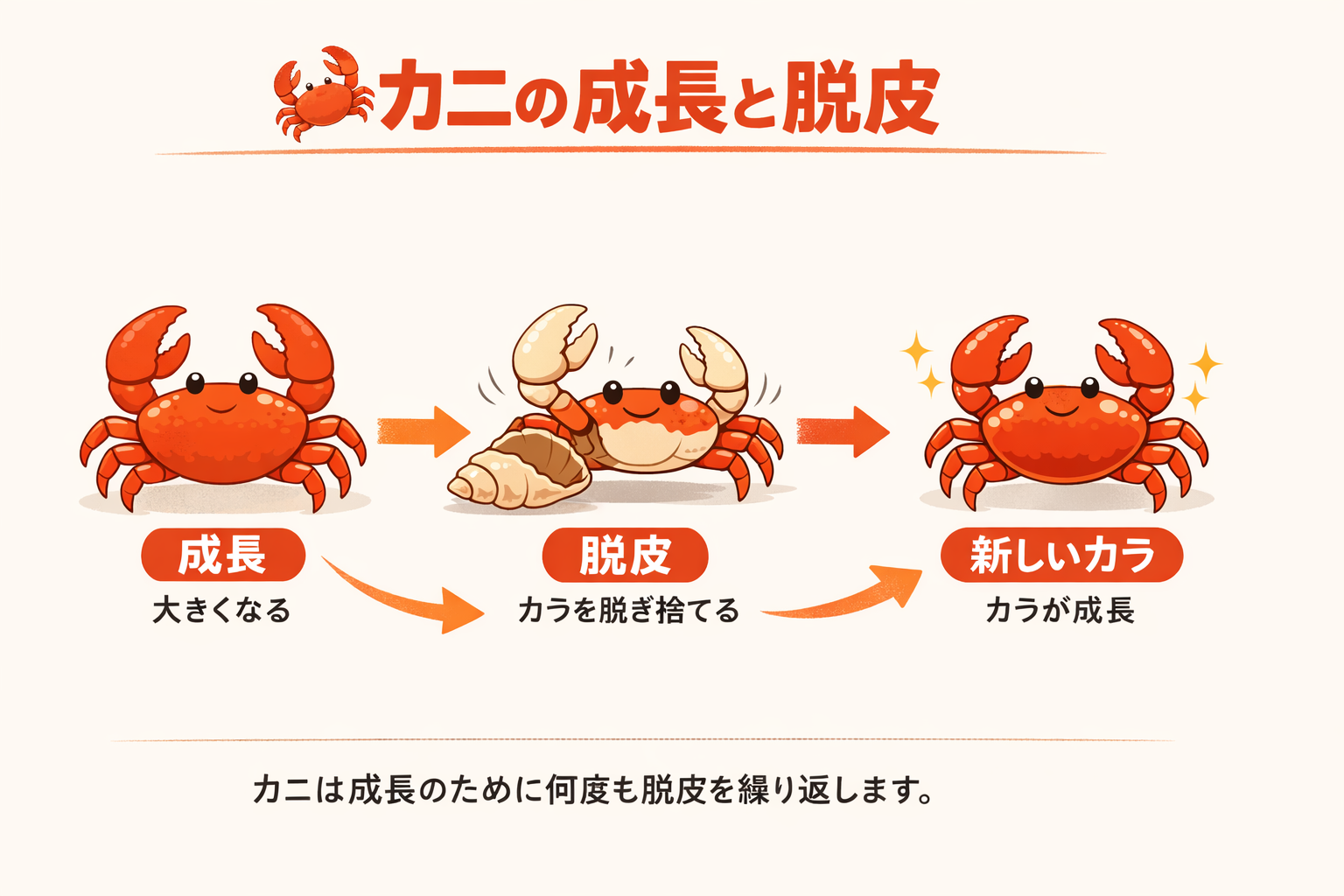 インフォグラフィック1